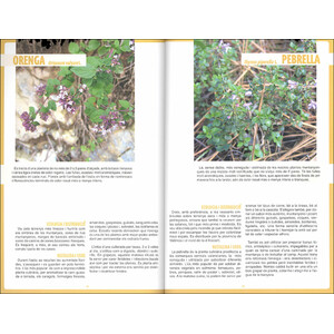 HERBARI MENGÍVOL. GUIA PER A L'ÚS GASTRONÒMIC DE LA FLORA SILVESTRE 3