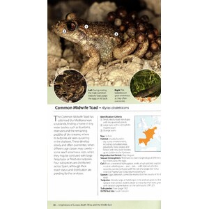 AMPHIBIANS OF EUROPE, NORTH AFRICA &AMP; THE MIDDLE EAST. A PHOTOGRAPHIC GUIDE_1
