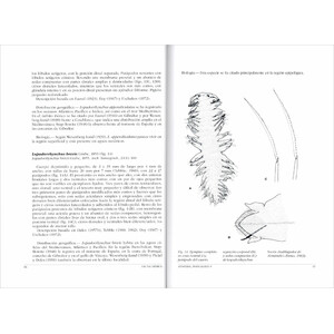 FAUNA IBÉRICA. VOL. 45 ANNELIDA POLYCHAETA V_1