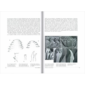 FAUNA IBÉRICA. VOL. 45 ANNELIDA POLYCHAETA V 3