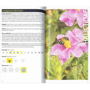 GUÍA DE CAMPO DE LAS ABEJAS DE ESPAÑA 3
