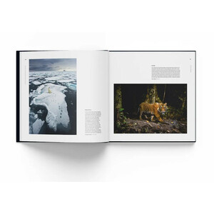 HOW WILDLIFE PHOTOGRAPHY BECAME ART. 55 YEARS OF WILDLIFE PHOTOGRAPHER OF THE YEAR_1
