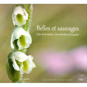 BELLES ET SAUVAGES. CLIN D'OEIL NATURE: LES ORCHIDÉES FRANÇAISES