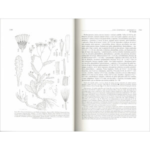 FLORA IBÉRICA. VOL. XVI (III) COMPOSITAE (PARTIM)_1