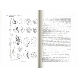 FLORA IBÉRICA. VOL. XVI (III) COMPOSITAE (PARTIM) 4