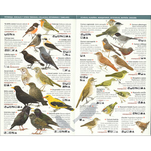 150 AVES DE ESPAÑA QUE HAY QUE CONOCER. MINIGUÍA DE CAMPO 3