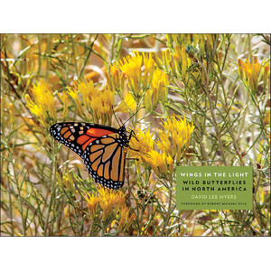 WINGS IN THE LIGHT. WILD BUTTERFLIES IN NORTH AMERICA