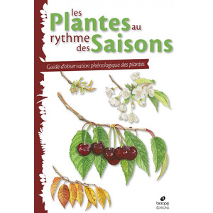 LES PLANTES AU RYTHME DES SAISONS 1