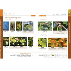 LES PLANTES AU RYTHME DES SAISONS 3