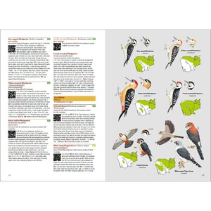 BIRDS OF CAMBODIA 4