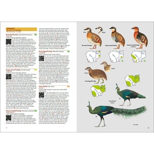 BIRDS OF CAMBODIA 5