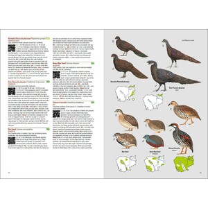 BIRDS OF CAMBODIA 6
