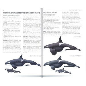 HANDBOOK OF WHALES, DOLPHINS AND PORPOISES 3