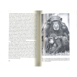EL ÚLTIMO ABRAZO. LAS EMOCIONES DE LOS ANIMALES Y LO QUE NOS CUENTAN DE NOSOTROS 3