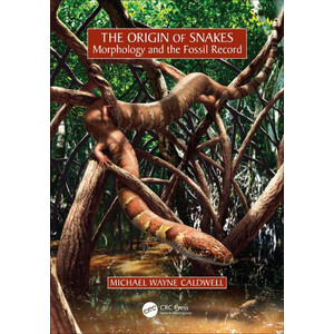 THE ORIGIN OF SNAKES: MORPHOLOGY AND THE FOSSIL RECORD