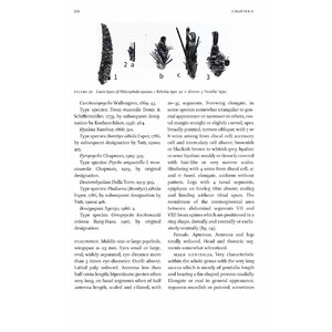 MICROLEPIDOPTERA OF EUROPE, VOLUME 8 PSYCHIDAE_1