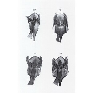 MICROLEPIDOPTERA OF EUROPE, VOLUME 8 PSYCHIDAE 4