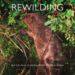REWILDING: REAL LIFE STORIES OF RETURNING BRITISH AND IRISH WILDLIFE TO BALANCE