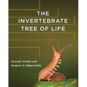 THE INVERTEBRATE TREE OF LIFE
