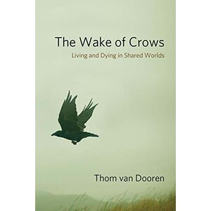 THE WAKE OF CROWS