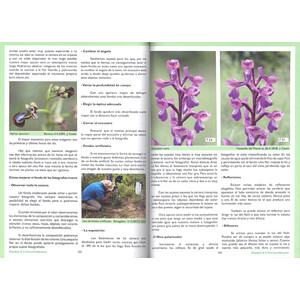 GUÍA DE LAS ORQUÍDEAS DE LA COMUNITAT VALENCIANA 4