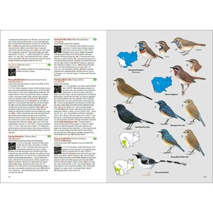 BIRDS OF CAMBODIA_1