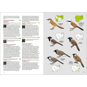 BIRDS OF CAMBODIA 3