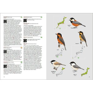 BIRDS OF JAPAN 3