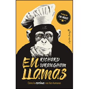 EN LLAMAS. CÓMO LA COCINA NOS HIZO HUMANO