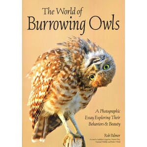 A WORLD OF BURROWING OWLS: A PHOTOGRAPHIC ESSAY EXPLORING THEIR BEHAVIORS &AMP; BEAUTY