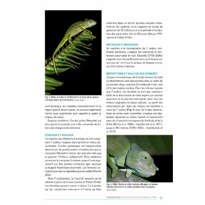 ATLAS DES AMPHIBIENS ET DES REPTILES TERRESTRES DE L'ARCHIPEL DES COMORES 5
