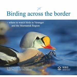 BIRDING ACROSS THE BORDER 1