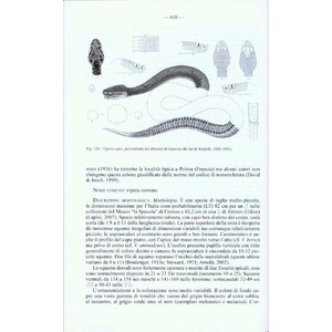 FAUNA D'ITALIA. REPTILIA VOL. XLV_1