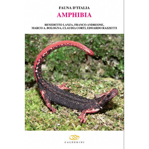 FAUNA D'ITALIA. AMPHIBIA. VOL. XLII