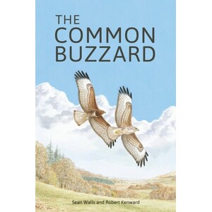 THE COMMON BUZZARD