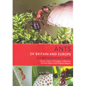 ANTS OF BRITAIN AND EUROPE