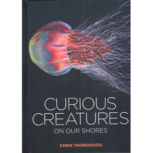 CURIOUS CREATURES ON OUR SHORES