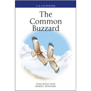 THE COMMON BUZZARD 1
