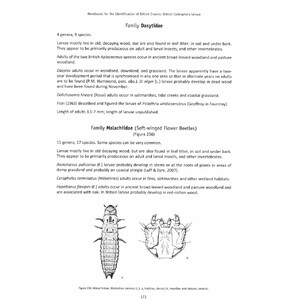 BRITISH COLEOPTERA LARVAE. A GUIDE TO THE FAMILIES AND MAJOR SUBFAMILIES 4