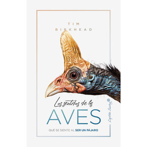 LOS SENTIDOS DE LAS AVES. QUÉ SE SIENTE AL SER UN PÁJARO