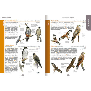 LE GUIDE NATURE. LES OISEAUX 3
