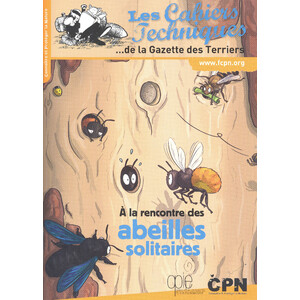 À LA RENCONTRE DES ABEILLES SOLITAIRES