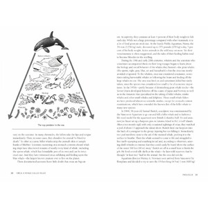 ORCA: THE WHALE CALLED KILLER_1