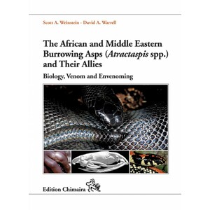 THE AFRICAN AND MIDDLE EASTERN BURROWING ASPS AND THEIR ALLIES