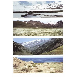 THE BUTTERFLIES OF KYRGYZSTAN 3