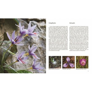 FLORA OF THE MEDITERRANEAN. WITH CALIFORNIA, CHILE, AUSTRALIA &AMP; SOUTH AFRICA. AN ILLUSTRATED GUIDE 3