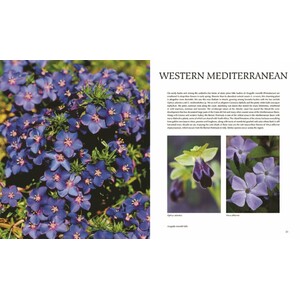 FLORA OF THE MEDITERRANEAN. WITH CALIFORNIA, CHILE, AUSTRALIA &AMP; SOUTH AFRICA. AN ILLUSTRATED GUIDE 4
