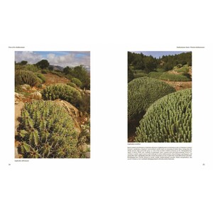 FLORA OF THE MEDITERRANEAN. WITH CALIFORNIA, CHILE, AUSTRALIA &AMP; SOUTH AFRICA. AN ILLUSTRATED GUIDE 5