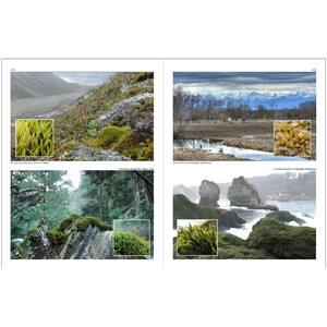 MOSSES OF EUROPE: A PHOTOGRAPHIC FLORA 3 VOLUME SET 2