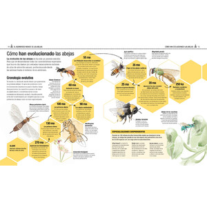 EL LIBRO DE LAS ABEJAS_1